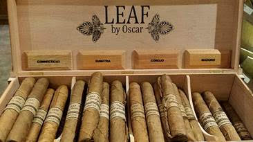Leaf by Oscar - Iron Horse Cigar Depot